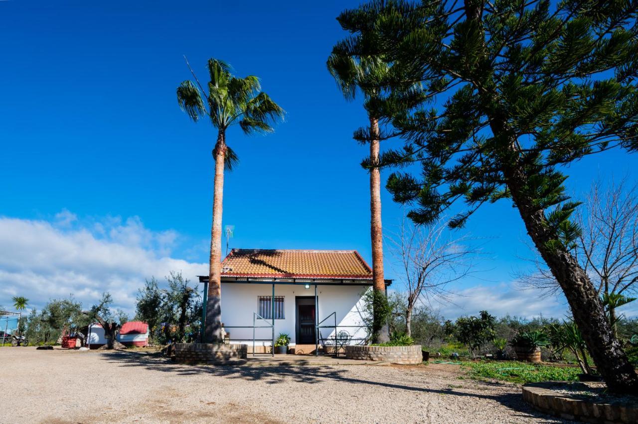 Holiday home El Paraiso Del Olivar *