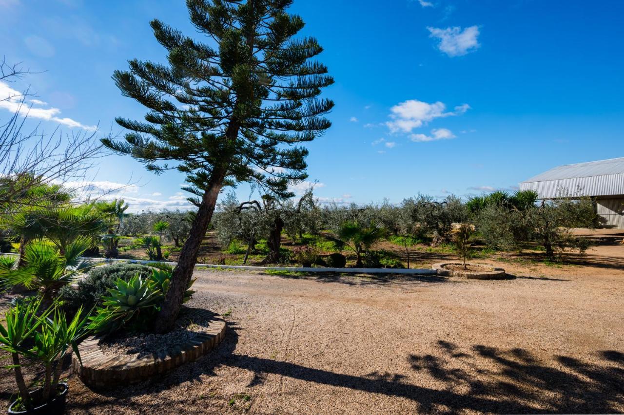 El Paraiso Del Olivar